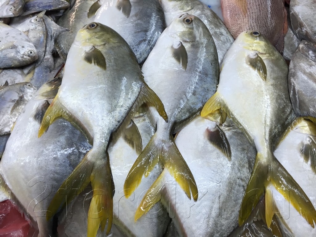 Рыба морская: блюда и рецепты